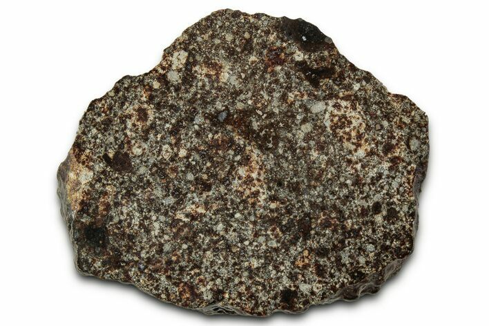 Chondrite Meteorite Section ( g) - NWA #347095